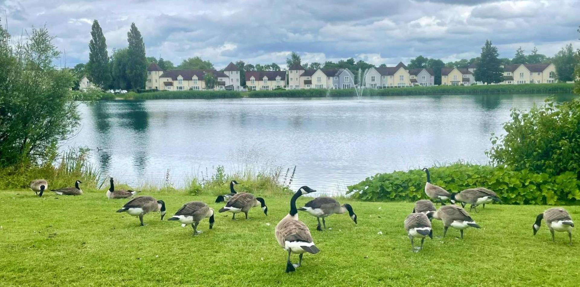 Nyhavn Lakeside Cottage Cirencester Ngoại thất bức ảnh