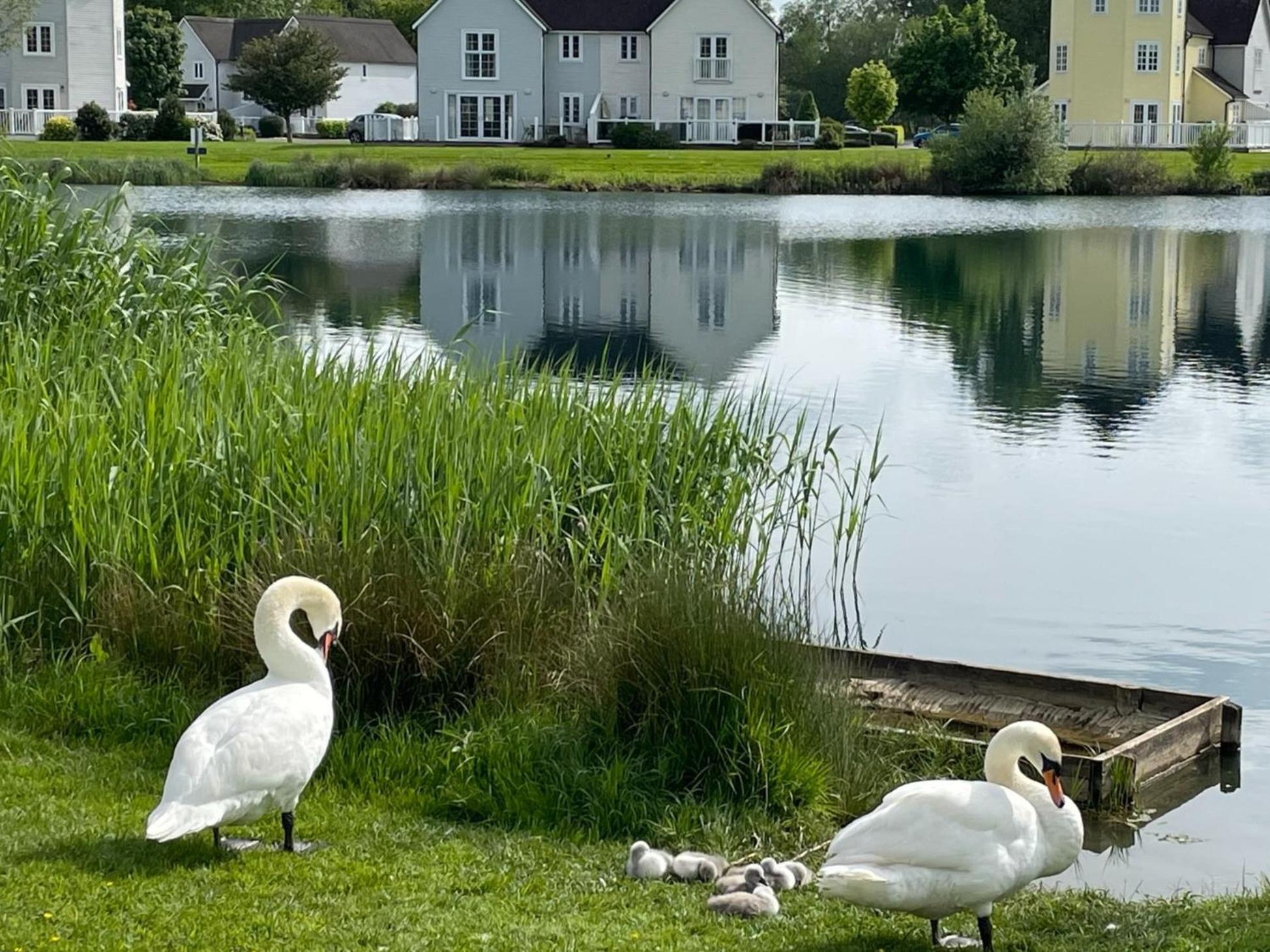Nyhavn Lakeside Cottage Cirencester Ngoại thất bức ảnh